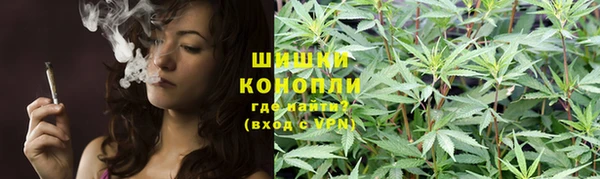 PSILOCYBIN Бугульма